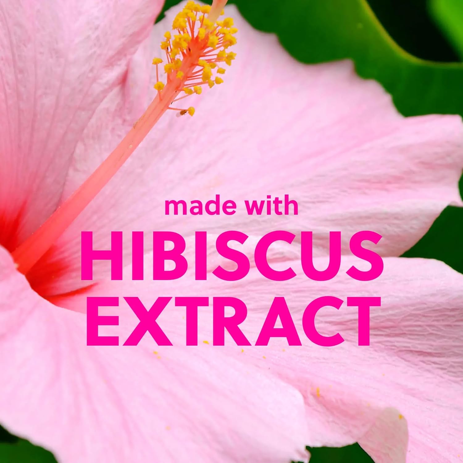 Tree Hut Pink Hibiscus Shea Sugar Scrub