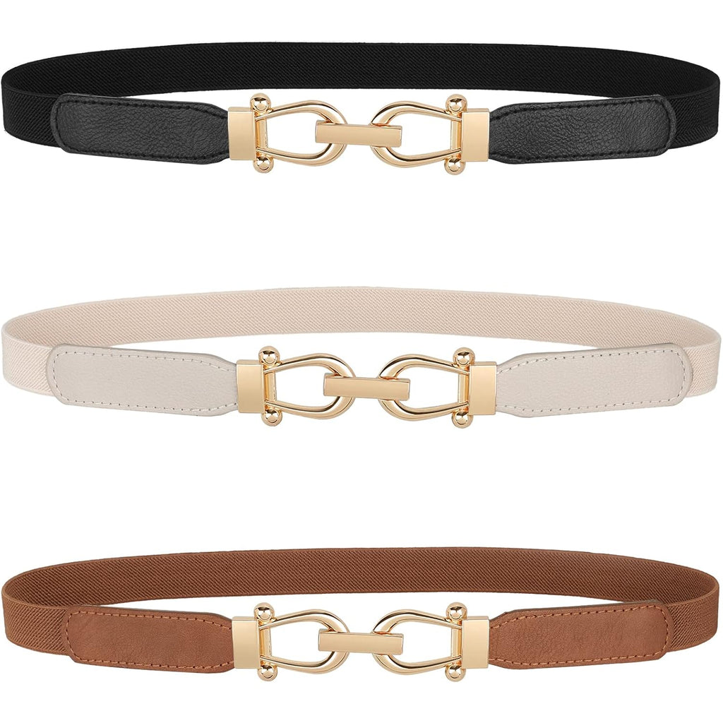 JASGOOD Women Skinny Elastic Belt for Dresses,Thin Retro Stretch Waist Belt with Golden Buckle