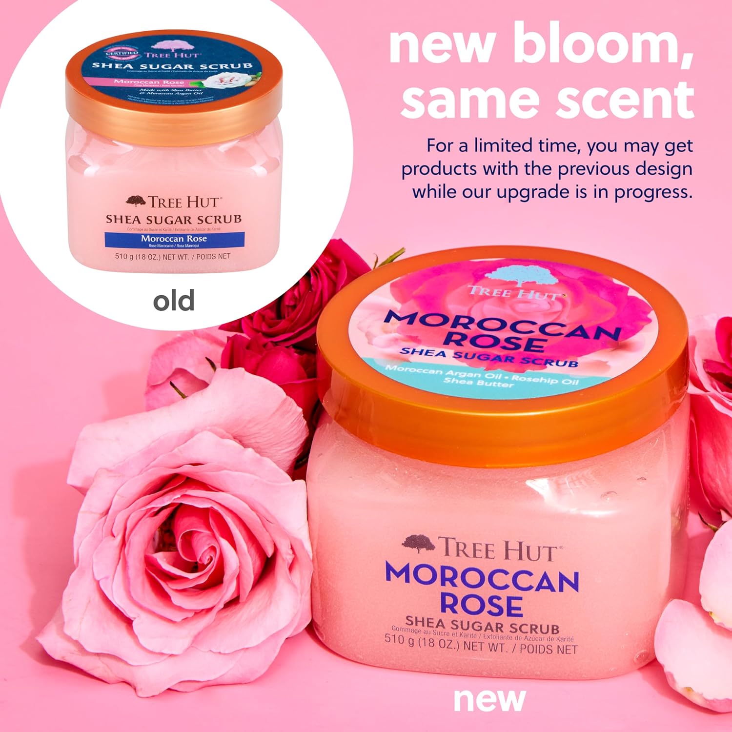 Tree Hut Moroccan Rose Shea Sugar Scrub