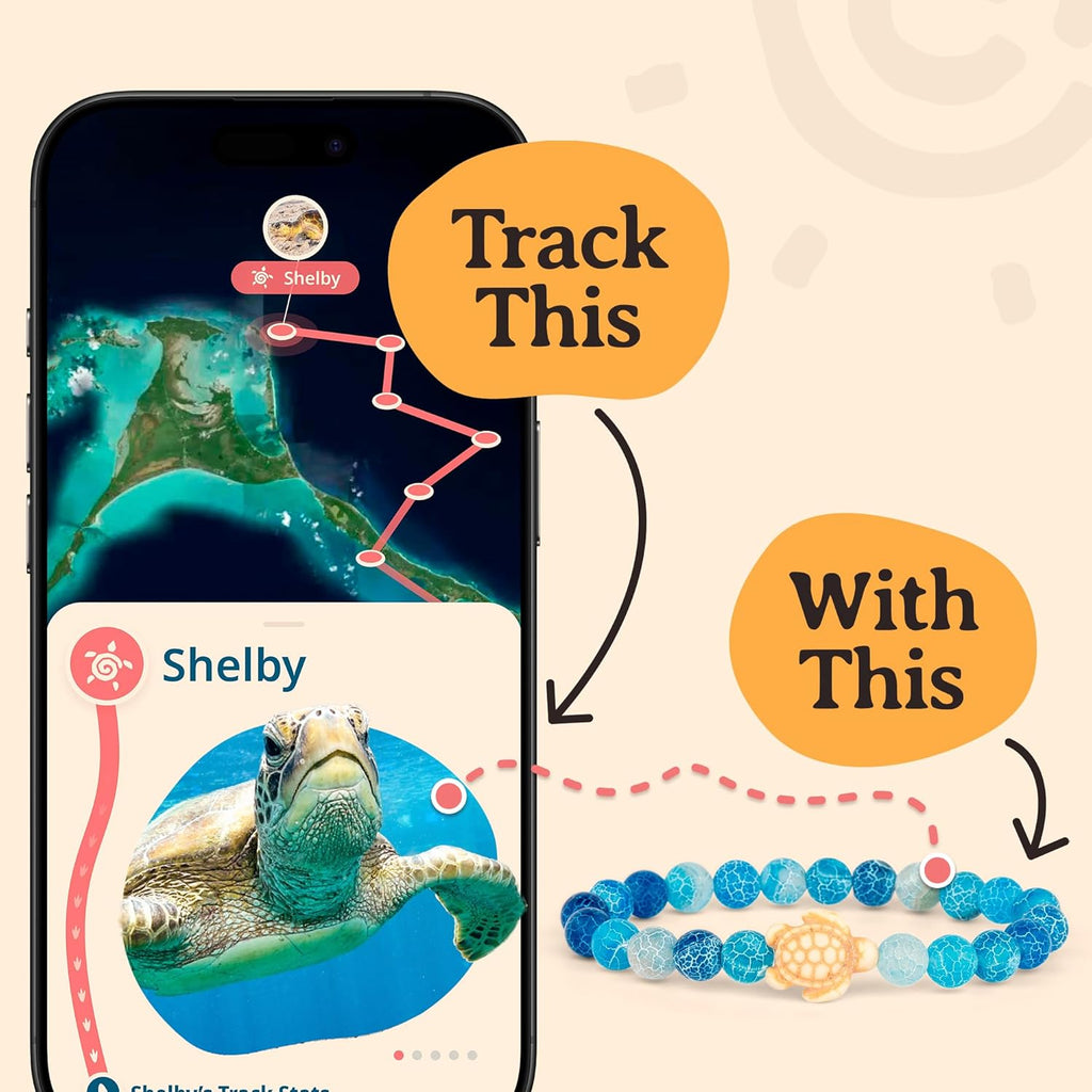 Fahlo Sea Turtle Tracking Bracelet, Elastic, supports the Sea Turtle Conservancy, one size fits most for Men and Women