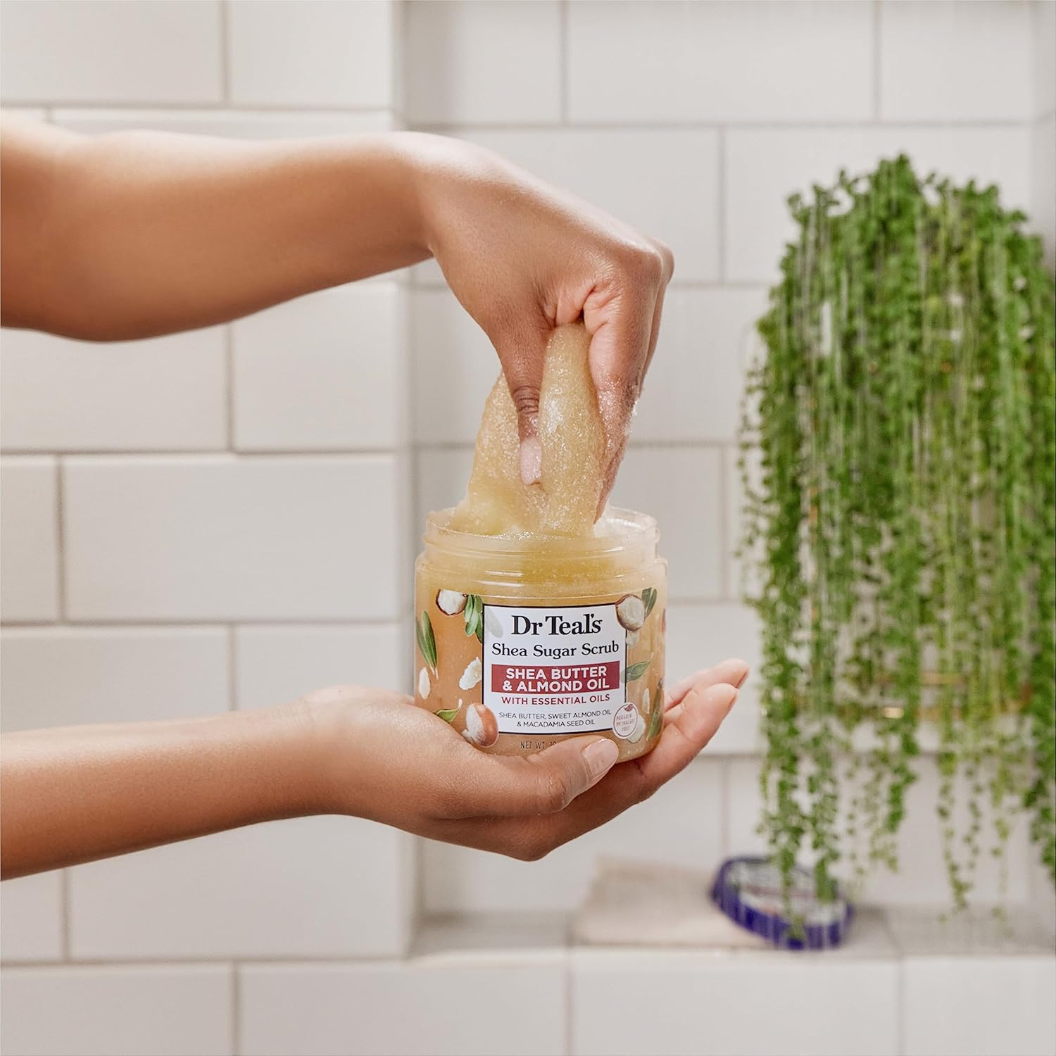 Dr Teal's Shea Sugar Body Scrub