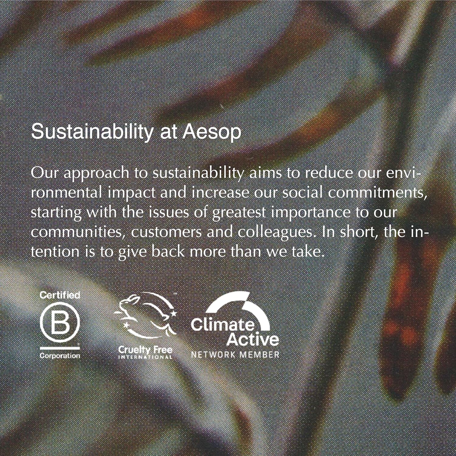 Aesop Geranium Leaf Exfoliating Body Scrub